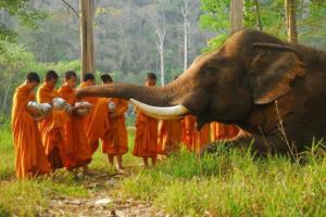 17992_569744203058988_381388143_n