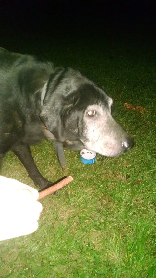 img_20160929_194119163