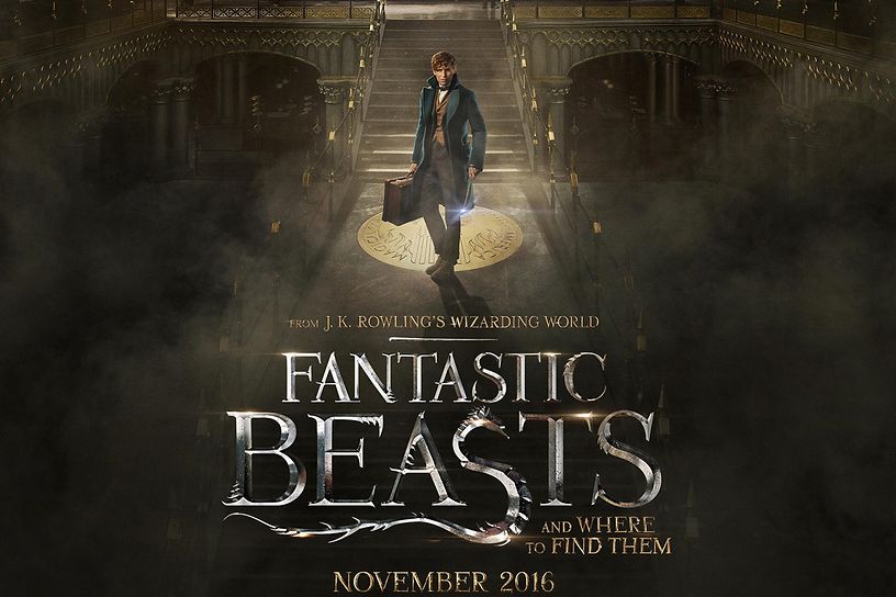 Chop’s Guide Public Service Series: 11 Facts about Fantastic Beasts and Where to Find Them!