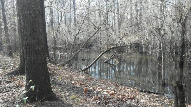 16810307_1330909563644754_566754224_o