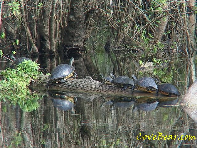 c19ea22811a44ea4ffdfea7fce1af1a1